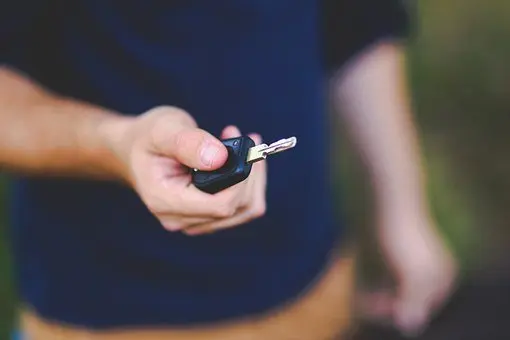 Transponder-Chip-Programming--in-Stevenson-Ranch-California-transponder-chip-programming-stevenson-ranch-california.jpg-image